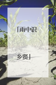 雨中识乡贤