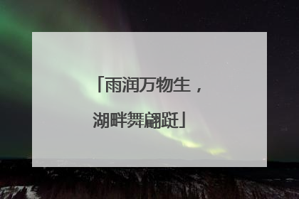 雨润万物生，湖畔舞翩跹