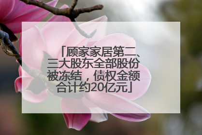顾家家居第二、三大股东全部股份被冻结，债权金额合计约20亿元