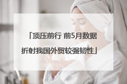 顶压前行 前5月数据折射我国外贸较强韧性