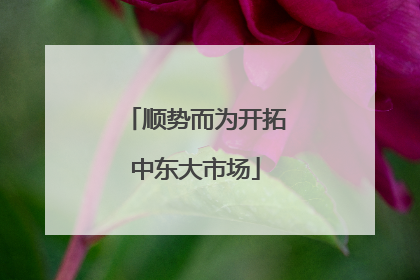 顺势而为开拓中东大市场