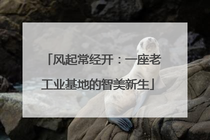 风起常经开：一座老工业基地的智美新生