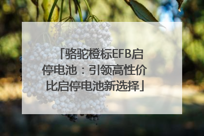 骆驼橙标EFB启停电池：引领高性价比启停电池新选择