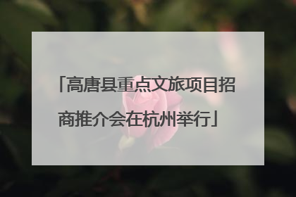 高唐县重点文旅项目招商推介会在杭州举行