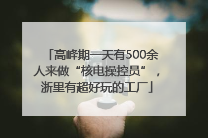 高峰期一天有500余人来做“核电操控员”，浙里有超好玩的工厂