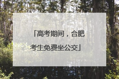 高考期间，合肥考生免费坐公交
