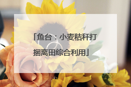 鱼台：小麦秸秆打捆离田综合利用