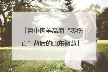 鲁中肉羊高原“零伤亡”背后的山东智慧