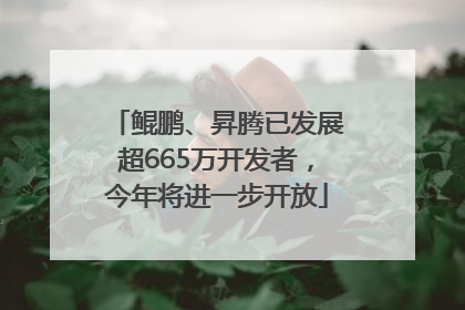鲲鹏、昇腾已发展超665万开发者，今年将进一步开放