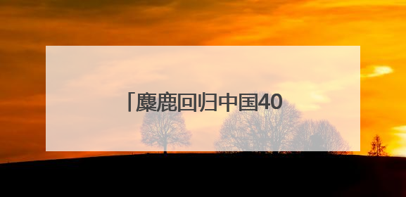 麋鹿回归中国40周年湖南主场宣传活动在岳阳启动