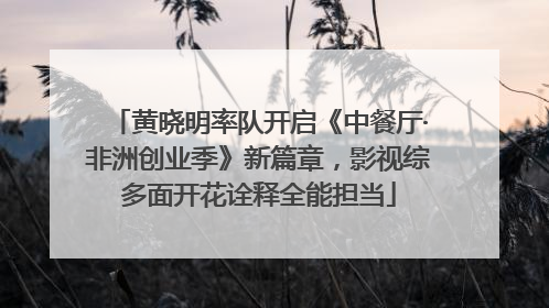 黄晓明率队开启《中餐厅·非洲创业季》新篇章，影视综多面开花诠释全能担当