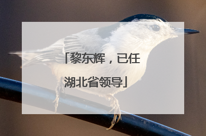 黎东辉，已任湖北省领导