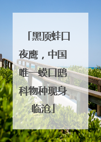 黑顶蛙口夜鹰，中国唯一蟆口鸱科物种现身临沧