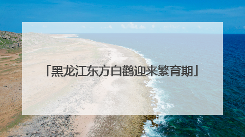黑龙江东方白鹳迎来繁育期