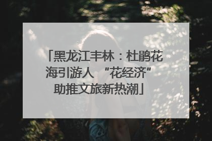 黑龙江丰林：杜鹃花海引游人 “花经济”助推文旅新热潮