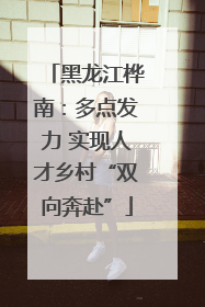 黑龙江桦南：多点发力 实现人才乡村“双向奔赴”