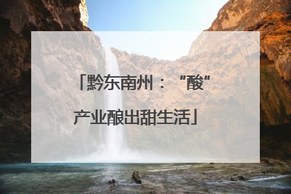 黔东南州：“酸”产业酿出甜生活