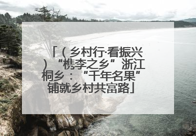 （乡村行·看振兴）“槜李之乡”浙江桐乡：“千年名果”铺就乡村共富路
