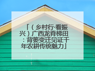 （乡村行·看振兴）广西龙脊梯田：背篓变迁见证千年农耕传统魅力
