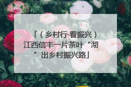 （乡村行·看振兴）江西信丰一片茶叶“沏”出乡村振兴路