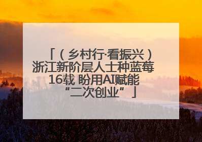 （乡村行·看振兴）浙江新阶层人士种蓝莓16载 盼用AI赋能“二次创业”