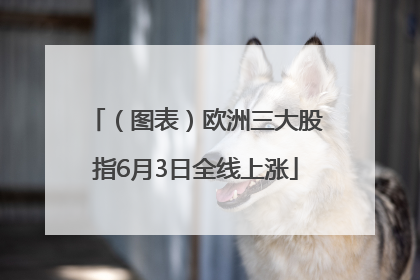 （图表）欧洲三大股指6月3日全线上涨