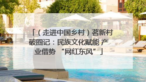 （走进中国乡村）茗新村破圈记：民族文化赋能 产业借势 “网红东风”