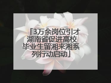 3万余岗位引才 湖南省促进高校毕业生留湘来湘系列行动启动