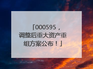 000595，调整后重大资产重组方案公布！