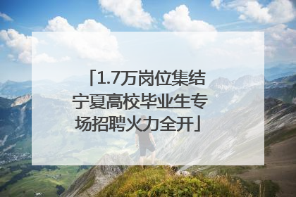 1.7万岗位集结 宁夏高校毕业生专场招聘火力全开