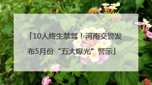 10人终生禁驾！河南交警发布5月份“五大曝光”警示