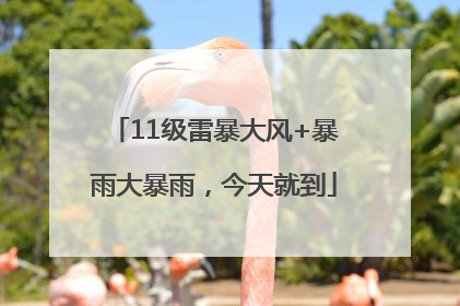 11级雷暴大风+暴雨大暴雨，今天就到
