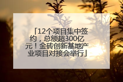 12个项目集中签约，总额超300亿元！金砖创新基地产业项目对接会举行