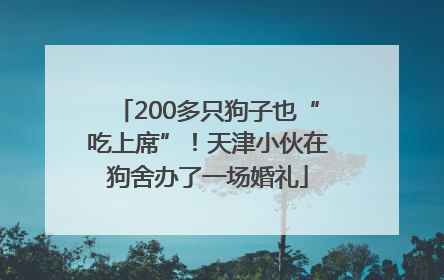 200多只狗子也“吃上席”！天津小伙在狗舍办了一场婚礼