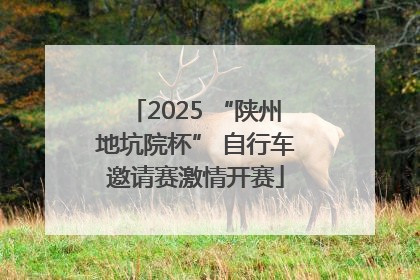 2025 “陕州地坑院杯” 自行车邀请赛激情开赛