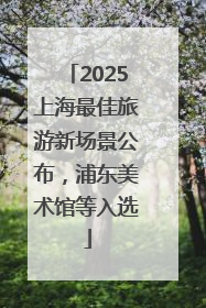 2025上海最佳旅游新场景公布，浦东美术馆等入选
