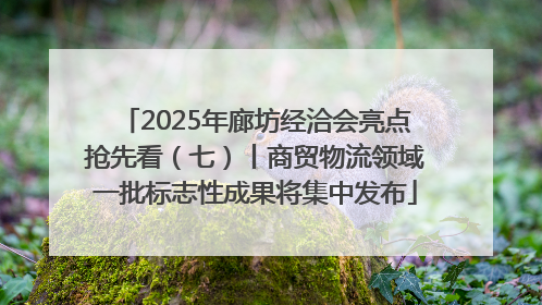 2025年廊坊经洽会亮点抢先看（七）丨商贸物流领域一批标志性成果将集中发布