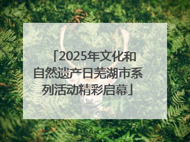 2025年文化和自然遗产日芜湖市系列活动精彩启幕
