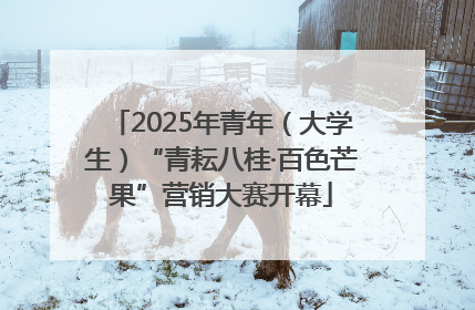 2025年青年（大学生）“青耘八桂·百色芒果”营销大赛开幕