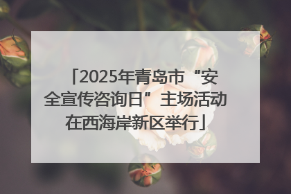 2025年青岛市“安全宣传咨询日”主场活动在西海岸新区举行