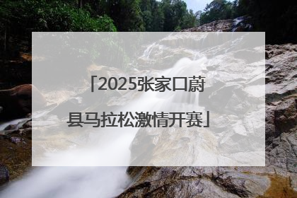 2025张家口蔚县马拉松激情开赛