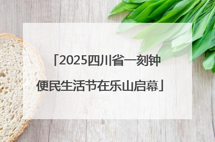 2025四川省一刻钟便民生活节在乐山启幕