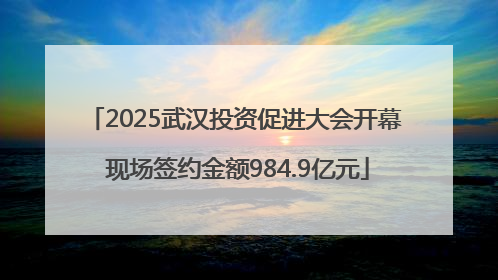 2025武汉投资促进大会开幕 现场签约金额984.9亿元