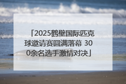 2025鹤壁国际匹克球邀请赛圆满落幕 300余名选手激情对决