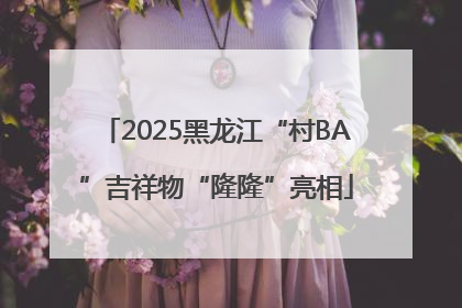 2025黑龙江“村BA”吉祥物“隆隆”亮相