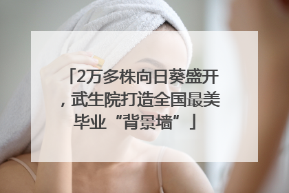 2万多株向日葵盛开，武生院打造全国最美毕业“背景墙”