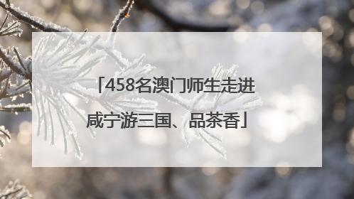 458名澳门师生走进咸宁游三国、品茶香