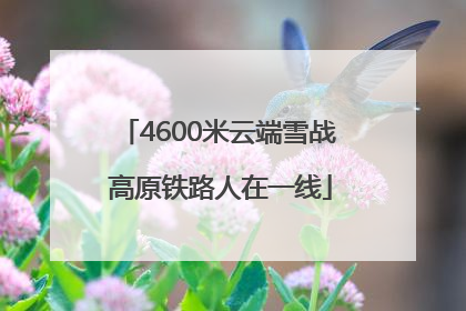 4600米云端雪战 高原铁路人在一线