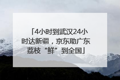 4小时到武汉24小时达新疆，京东助广东荔枝“鲜”到全国
