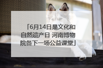 6月14日是文化和自然遗产日 河南博物院备下一场公益课堂